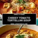 cheesy tomato tortellini soup 2026 01 03 212754 512x1024 1