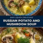 russian potato and mushroom soup 2026 01 03 212720 512x1024 1