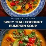Spicy Thai Coconut Pumpkin Soup 3 spicy thai coconut pumpkin soup 2026 01 03 212815 512x1024 1