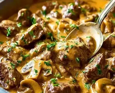 Gordon Ramsay's delicious Beef Stroganoff served with pasta and garnished