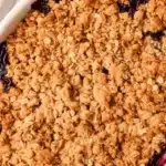 Apple Blueberry Crisp 3 apple blueberry crisp 2026 04 09 004951 1