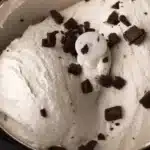 homemade mint chocolate chip ice cream 2026 04 09 004952 1