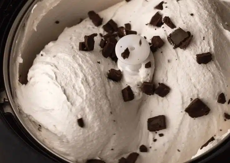 Homemade mint chocolate chip ice cream in a bowl, garnished with mint leaves.